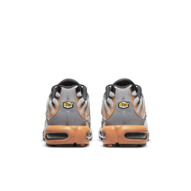 Кецове и обувки Nike Air Max Plus Сиво | DM0032-001, 1