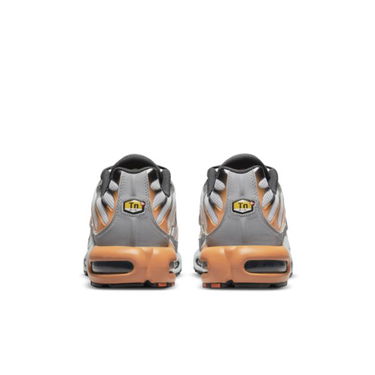 Кецове и обувки Nike Air Max Plus Сиво | DM0032-001, 1