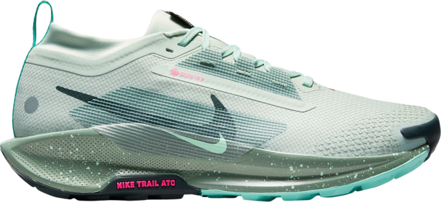 Pegasus Trail 5 GORE-TEX