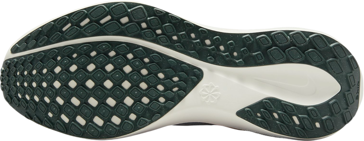 Кецове и обувки Nike Pegasus 41 Premium Синьо | hv5227-474, 1