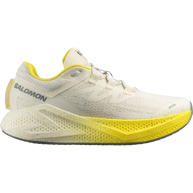 Кецове и обувки Salomon Aero Glide 3 Многоцветен | L47975900, 1