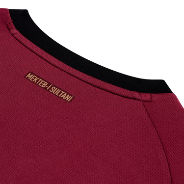 Фланелка Puma Galatasaray SK 3rd Replica Long Sleeve Jersey 2025/26 Бургунди | 788432-03, 1