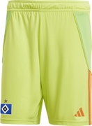 Hamburger SV Training Shorts 2024/2025
