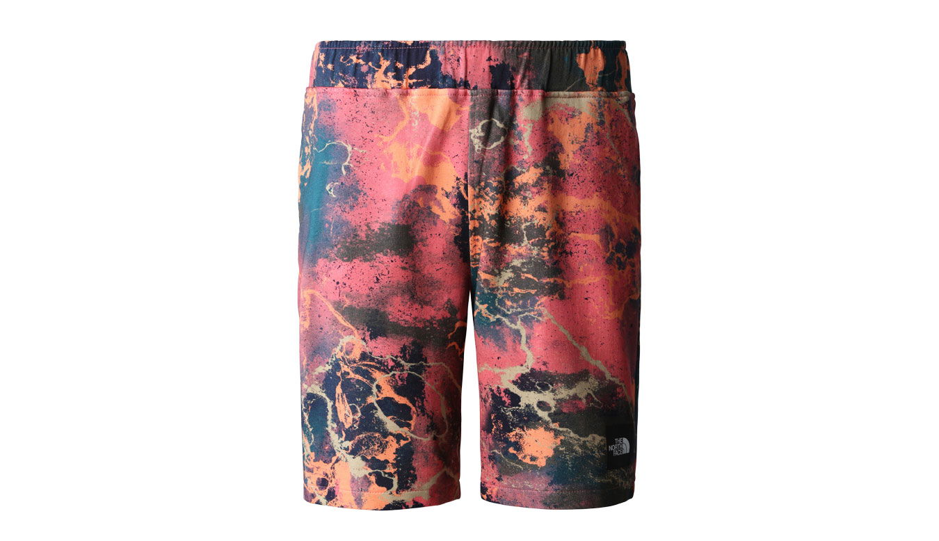 Къси панталони The North Face M Summer Logo Shorts Многоцветен | NF0A8237IOC, 0