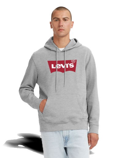 Standard Graphic Hoodie