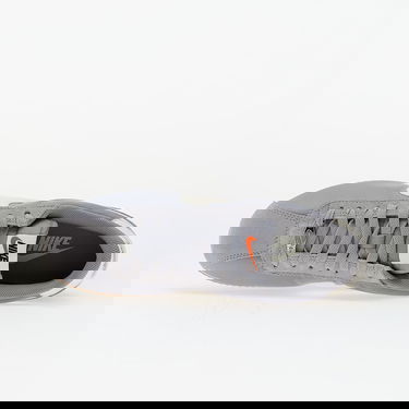 Кецове и обувки Nike Cortez Textile Сиво | DZ2795-005, 3