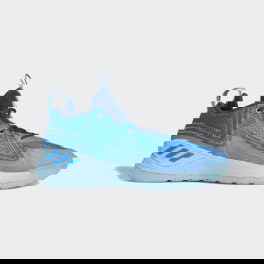 Кецове и обувки adidas Originals D Rose "Son of Chi" Синьо | GY6494, 0