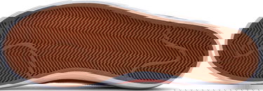 Кецове и обувки Nike Blazer Low Оранжево
 | cz4703-800, 1