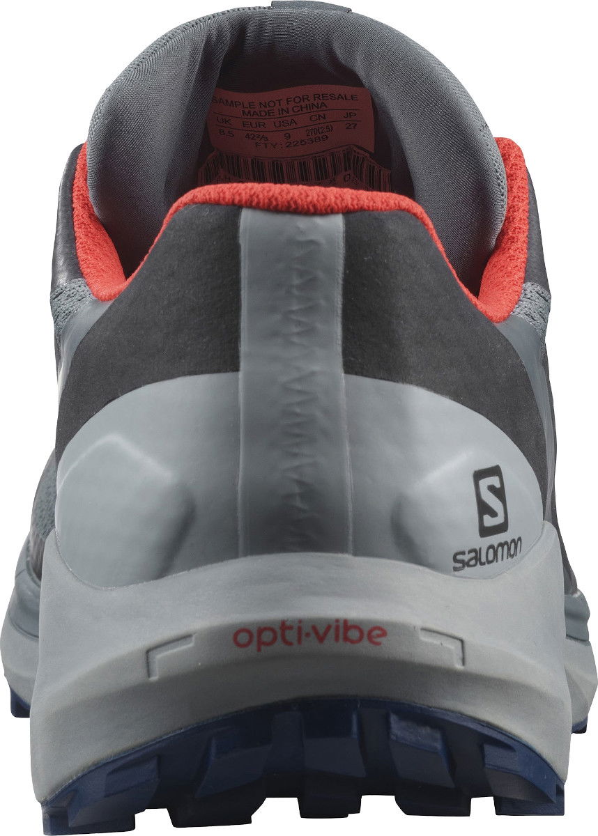 Кецове и обувки Salomon Sense Ride 4 GTX Invisible Сиво | l41377800, 1