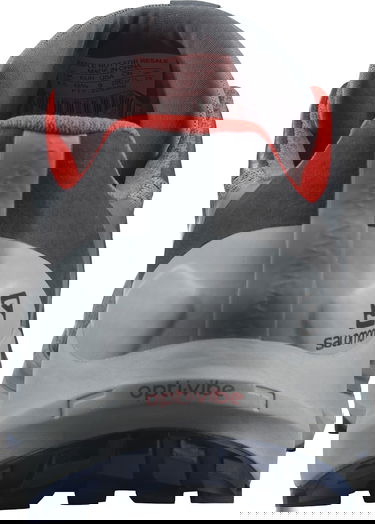 Кецове и обувки Salomon Sense Ride 4 GTX Invisible Сиво | l41377800, 1