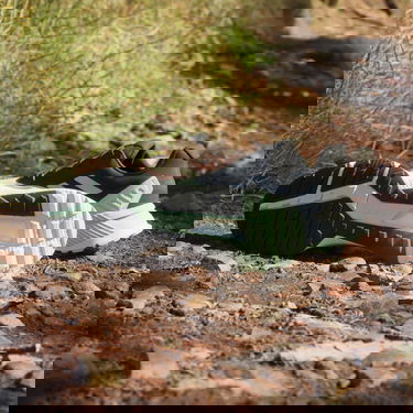 Кецове и обувки adidas Performance adidas TERREX Terrex Soulstride Trail Running Зелено | IG8023, 4