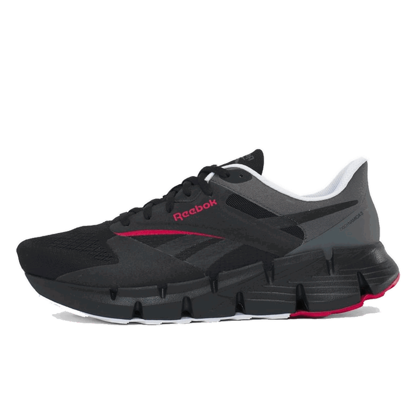 Кецове и обувки Reebok ZIG DYNAMICA 5 Черно | 100210035