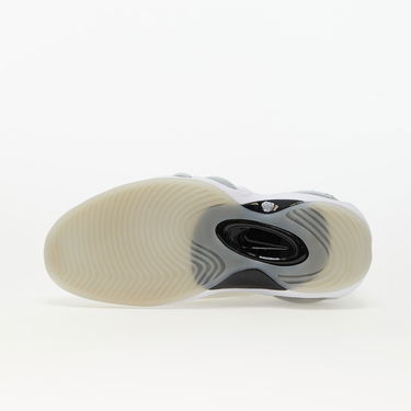 Кецове и обувки Nike Air Zoom Flight 95 Бяло | DX5505-100, 4