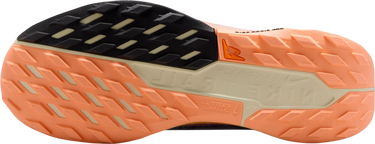Кецове и обувки Nike Pegasus Trail 5 GORE-TEX Многоцветен | fq0912-011, 4