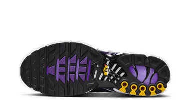 Кецове и обувки Nike Air Max Plus GS Лилаво | CD0609-024, 2