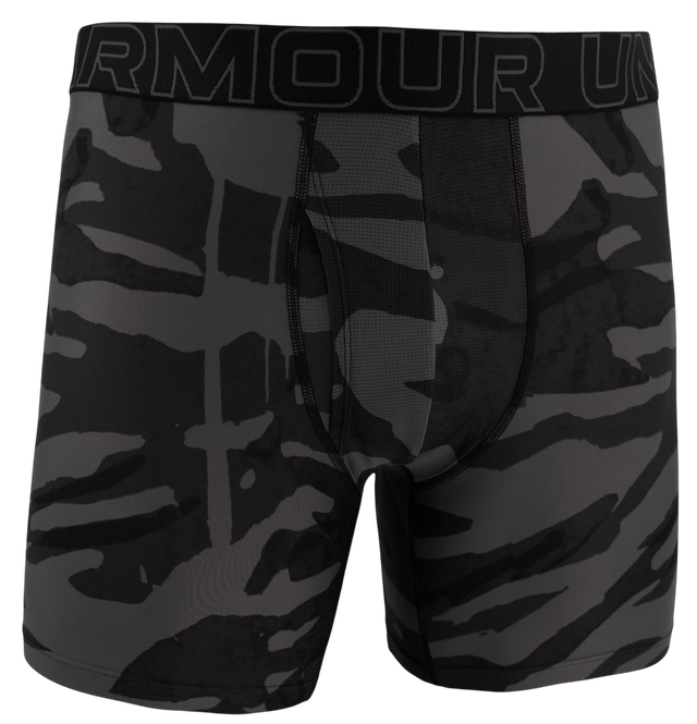 Under Armour Graphic 6" Boxer Shorts