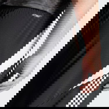 Къси панталони adidas Performance Tiro 24 Черно | IR9376, 5