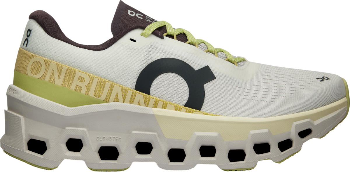 Кецове и обувки On Running Cloudmonster 2 Сиво | 3we10112260, 0