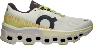 Кецове и обувки On Running Cloudmonster 2 Сиво | 3we10112260, 0