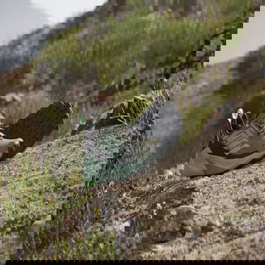 Кецове и обувки adidas Performance adidas TERREX TRAILMAKER 2 GORE-TEX Сиво | IE5150, 2