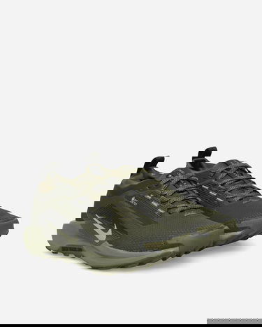 Кецове и обувки Nike Pegasus Trail 5 GORE-TEX Зелено | HQ7494-300, 2
