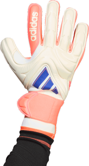 Ръкавици adidas Originals Copa Pro Promo Goalkeeper Gloves Многоцветен | jn5338, 5