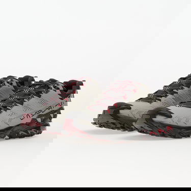 Кецове и обувки La Sportiva Ultra Raptor II Leather GTX Сиво | ZFHS131 Cloud/ Redwood, 5