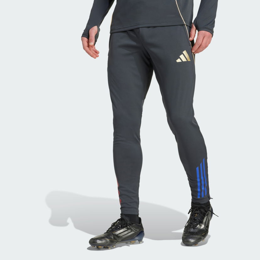 Спортни панталони adidas Performance Olympique Lyon Tiro 25 Competition Training Pants Сиво | JL7707