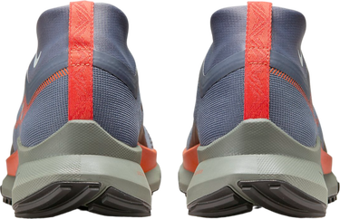 Кецове и обувки Nike Pegasus Trail 4 GORE-TEX Сиво | dj7926-006, 1