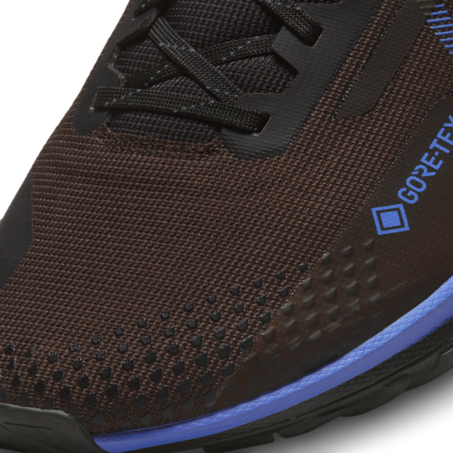 Кецове и обувки Nike React Pegasus Trail 4 GORE-TEX Черно | FB2193-200, 1