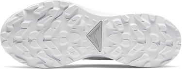 Кецове и обувки Nike Pegasus Trail 2 GTX Сиво | dc1933-100, 1