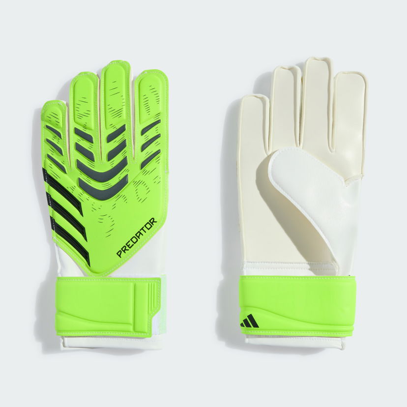 Ръкавици adidas Performance Predator Training Goalkeeper Gloves Зелено | JN5362