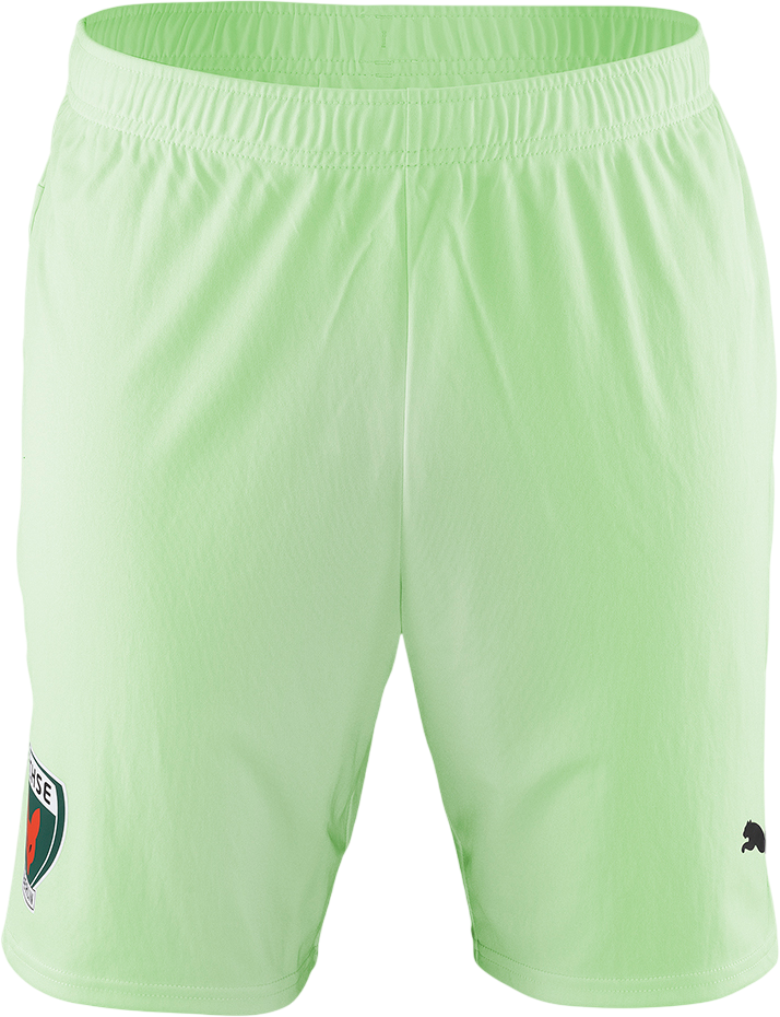 Къси панталони Puma Füchse Berlin Team Shorts 2024/2025 Зелено | 705752fux-60