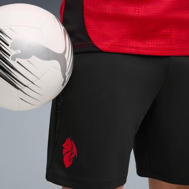 Къси панталони Puma AC Milan Training Shorts with Pockets 2025/26 Черно | 782370-04, 2