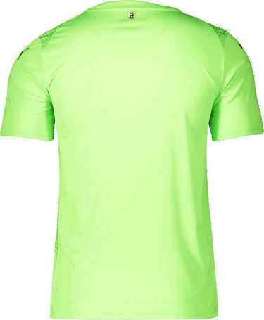 Фланелка Puma 1. FC Heidenheim Goalkeeper Jersey 2025/26 by Puma Зелено | 5fch706280-20, 1