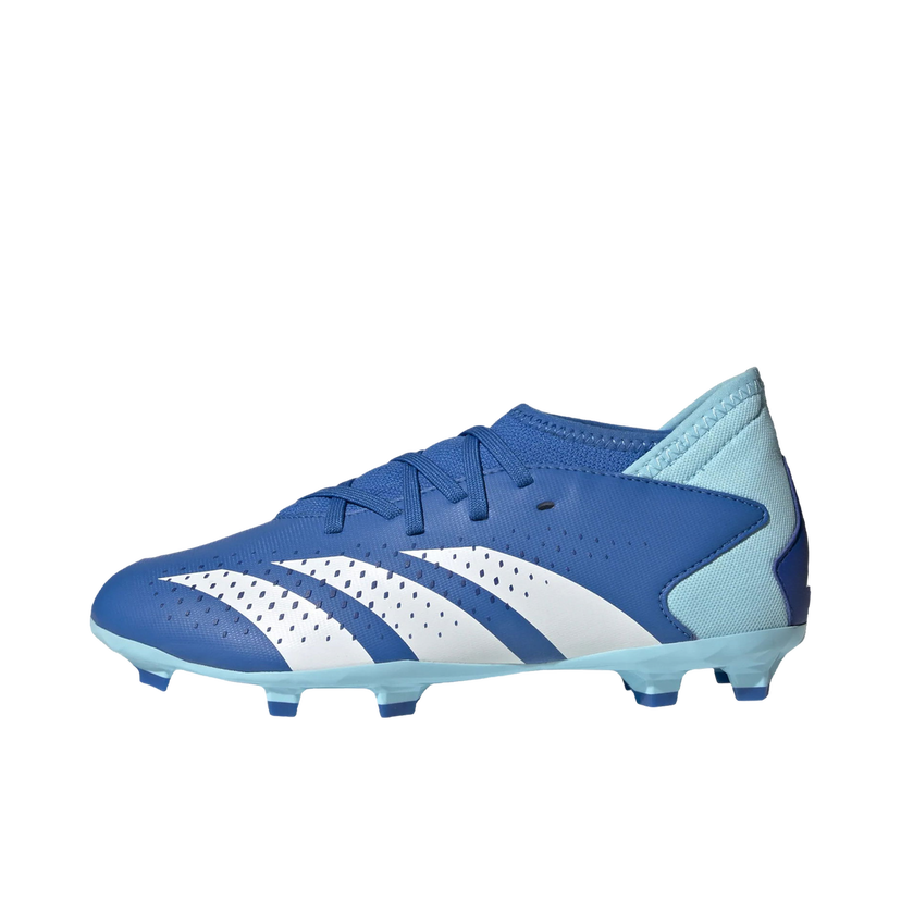 Кецове и обувки adidas Performance Predator Accuracy.3 FG Синьо | ie9503