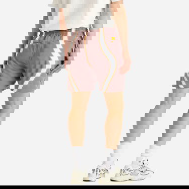 Къси панталони Nike Project F.R.O.G. Woven Shorts Кафяво | HJ6944-204, 3