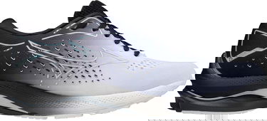 Кецове и обувки Mizuno Wave Rider 25 Osaka Сиво | j1gc210801, 2