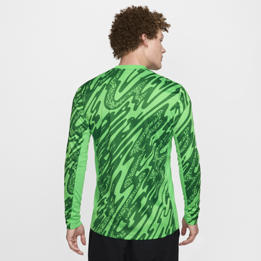 Фланелка Nike Dri-FIT Netherlands Stadium 2024/25 Зелено | FJ4290-329, 4