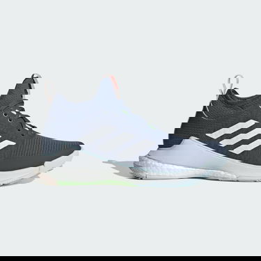 Кецове и обувки adidas Performance Crazyflight Mid Синьо | IG3971, 1