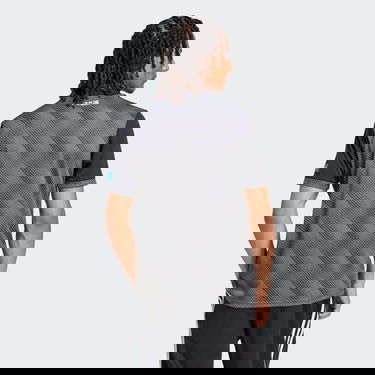 Фланелка adidas Performance FC Nürnberg 24/25 Third Jersey Сиво | JJ9995, 2