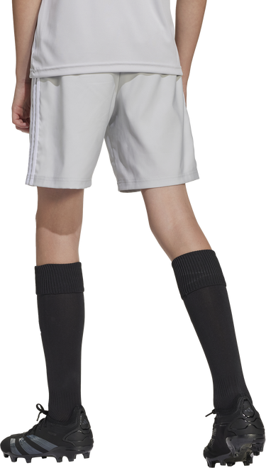 Къси панталони adidas Originals Tastigo 25 Shorts Сиво | jn7175, 1