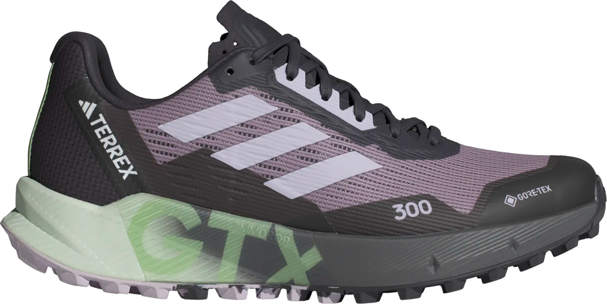 Кецове и обувки adidas Performance adidas Terrex TERREX AGRAVIC FLOW 2 GTX W Лилаво | id2501, 0