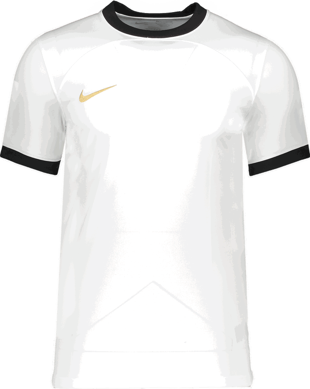 Dri-FIT Classic GX2 Jersey