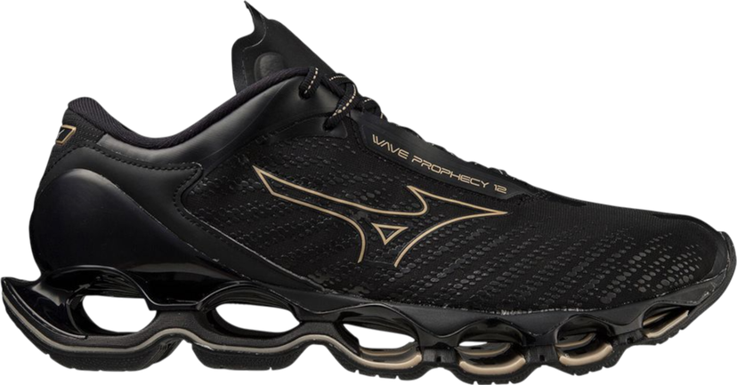 Кецове и обувки Mizuno WAVE PROPHECY 12 Черно | j1gc2383-033