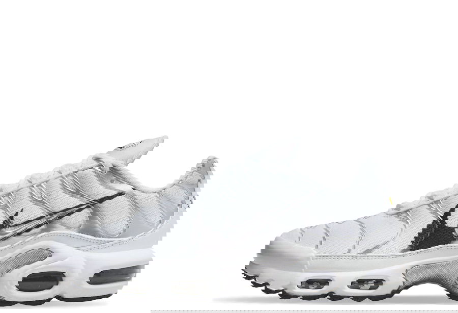 Кецове и обувки Nike Air Max Plus "Silver Swoosh" W Металик | DV3456-100, 1