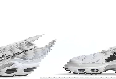 Кецове и обувки Nike Air Max Plus "Silver Swoosh" W Металик | DV3456-100, 1