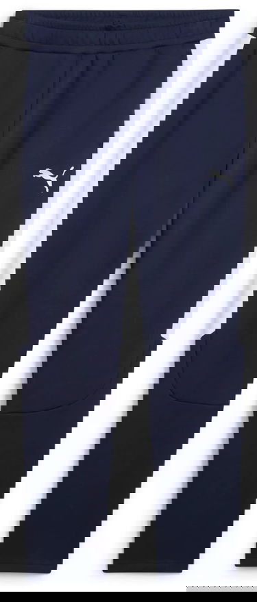 Спортни панталони Puma Puma teamEVOSTRIPE Pants Тъмно синьо | 659948-06, 0