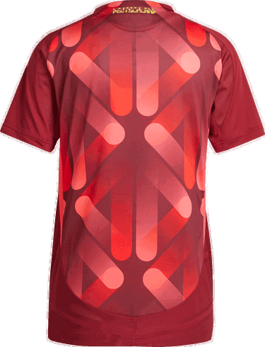 Комплект adidas Performance Germany Women's Team Authentic Jersey Червено | JF2606, 2
