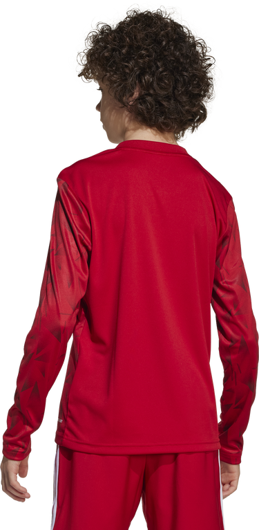 Фланелка adidas Originals Adidas Team Icon25 Long Sleeve Jersey Червено | jm8361, 3